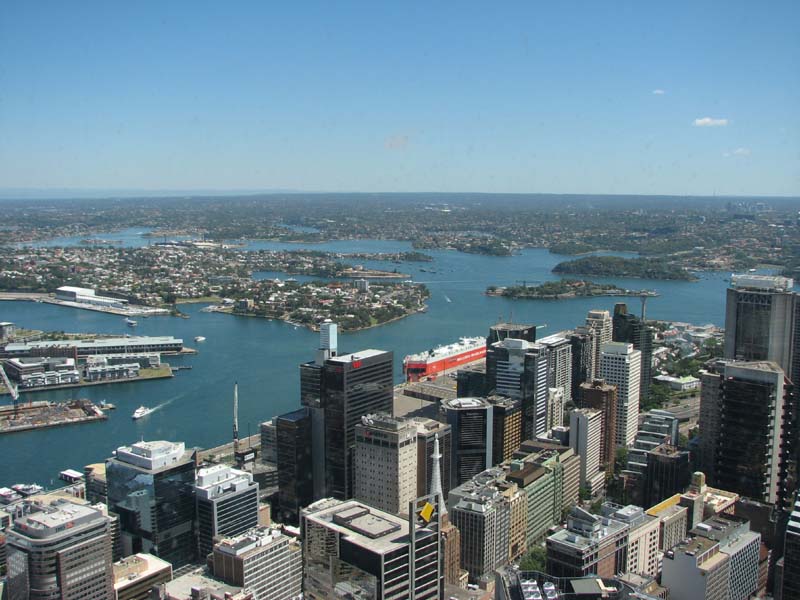 View from Sydney Tower